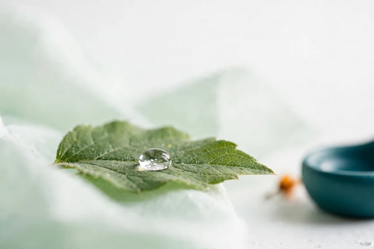 A water drop on a leaf